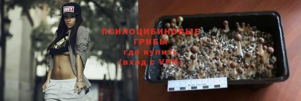 дмт Алзамай